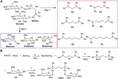 Synthesis and biological evaluation of novel bi-gold mitocans in lung cancer cells